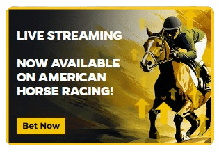 Priced up bet sign up offer & promo code