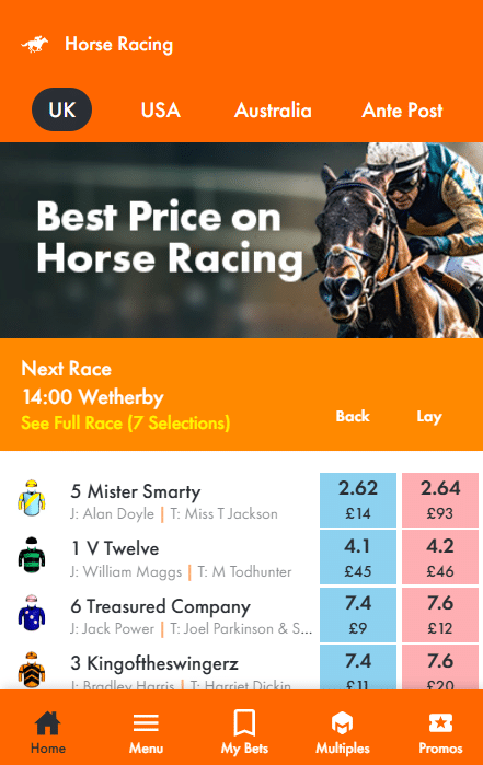 easybet sports betting overview - horse racing